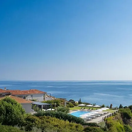 Blue Jasmine * Skala (Kefalonia)