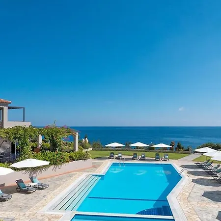 Blue Jasmine * Skala (Kefalonia)