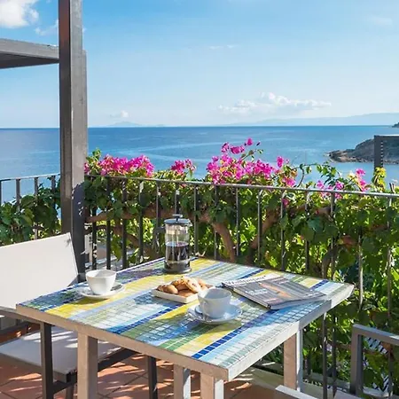 Blue Jasmine Skala (Kefalonia)