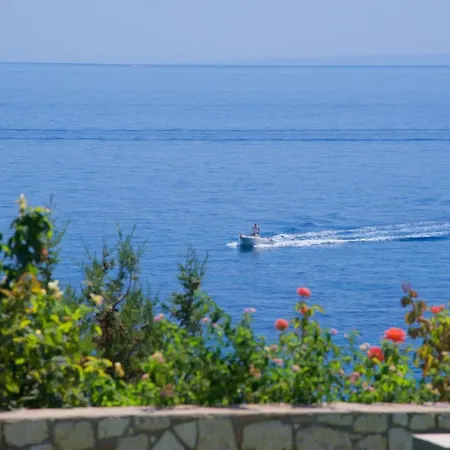 Aparthotel Blue Jasmine
