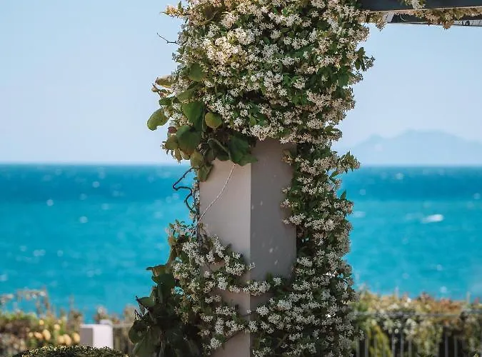 Aparthotel Blue Jasmine